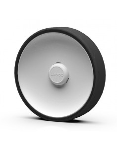 copy of Hummingbird printed...