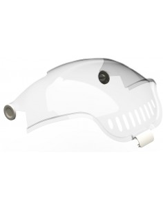 copy of Hummingbird printed...