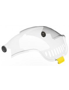 copy of Hummingbird printed...