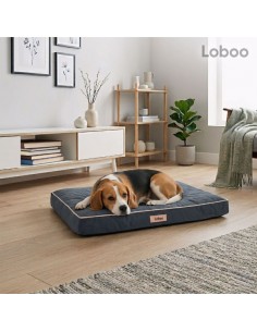 copy of Hummingbird printed... 2