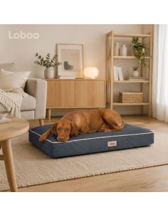 copy of COLCHÓN DE TRANSPORTE 2